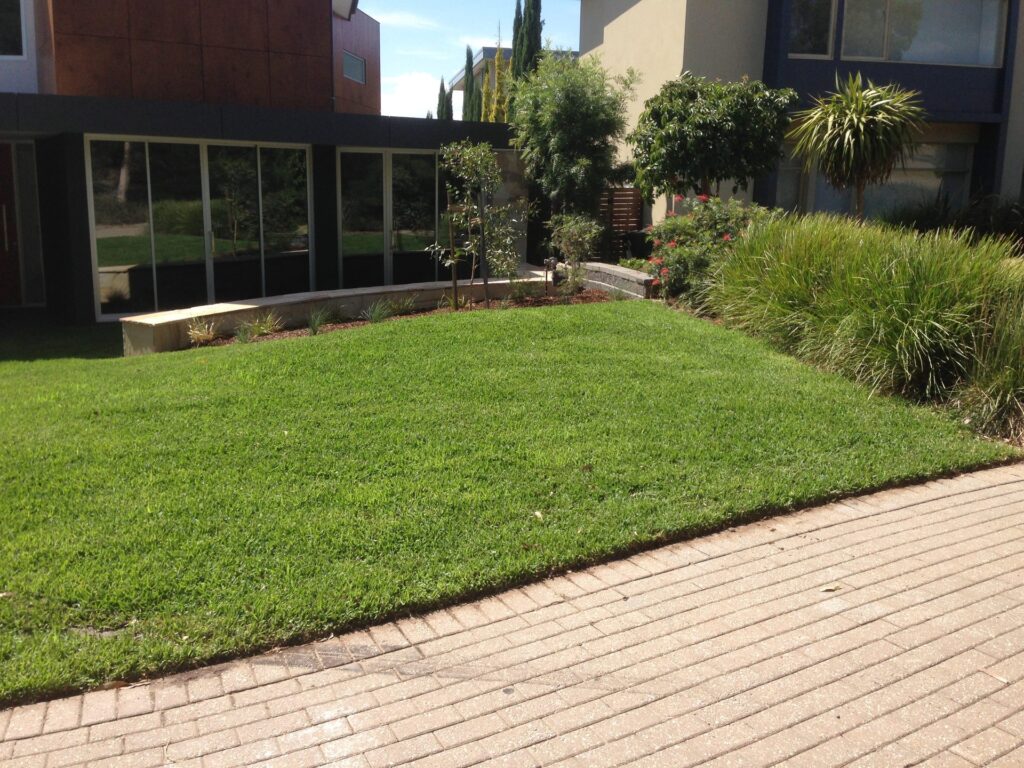 Instant turf in Wheelers Hill by InEx Lifestyle Design landscapers