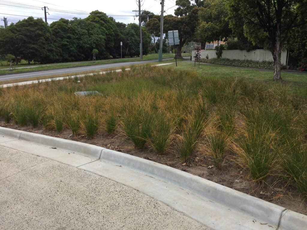 Commercial rain garden planting by InEx Lifestyle Design landscapers