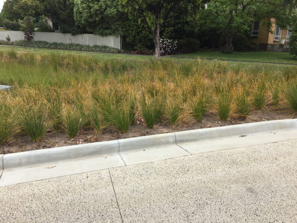 Commercial rain garden planting by InEx Lifestyle Design landscapers